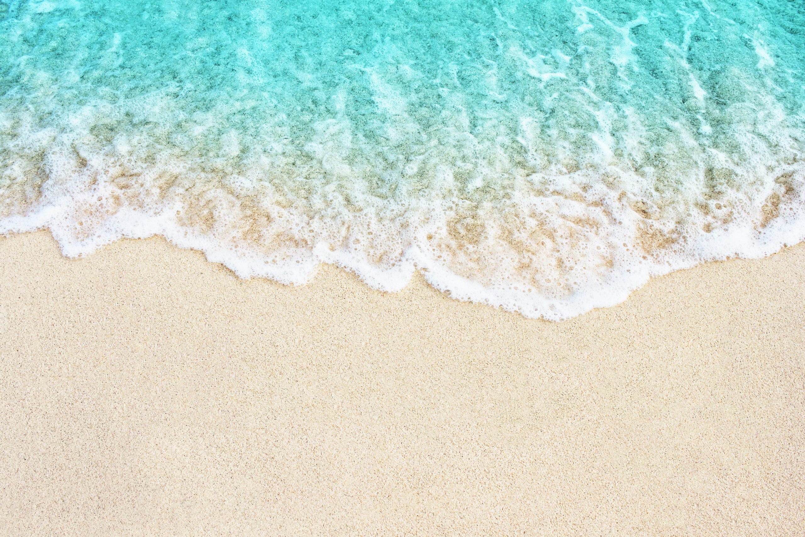 shutterstock_513133867