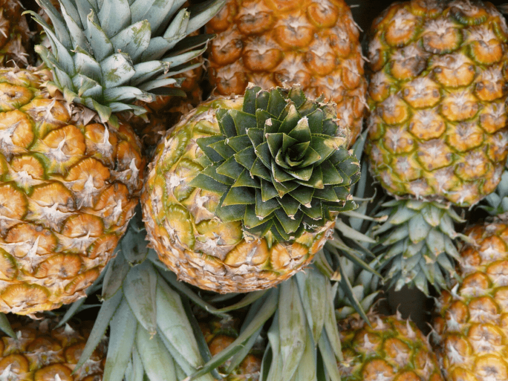 Pineapples