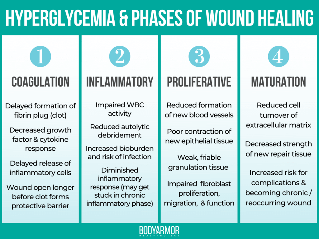 Hyperglycemia Phases of Wound Healing Infographic