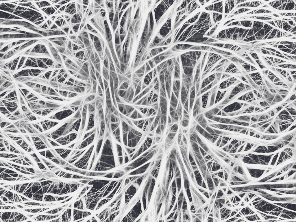 Collagen Fibers